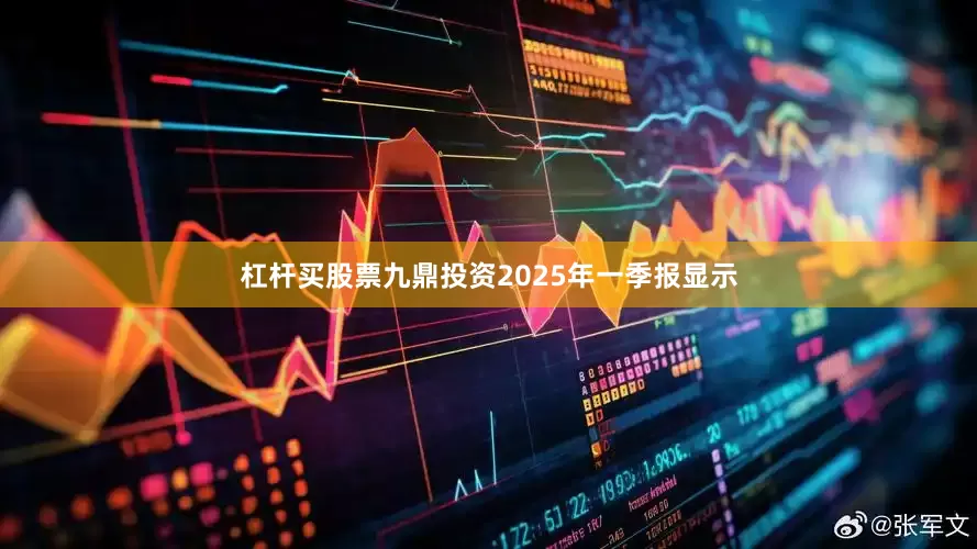 杠杆买股票九鼎投资2025年一季报显示